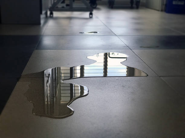 Best 24-hour water damage restoration  in Wartburg, TN
